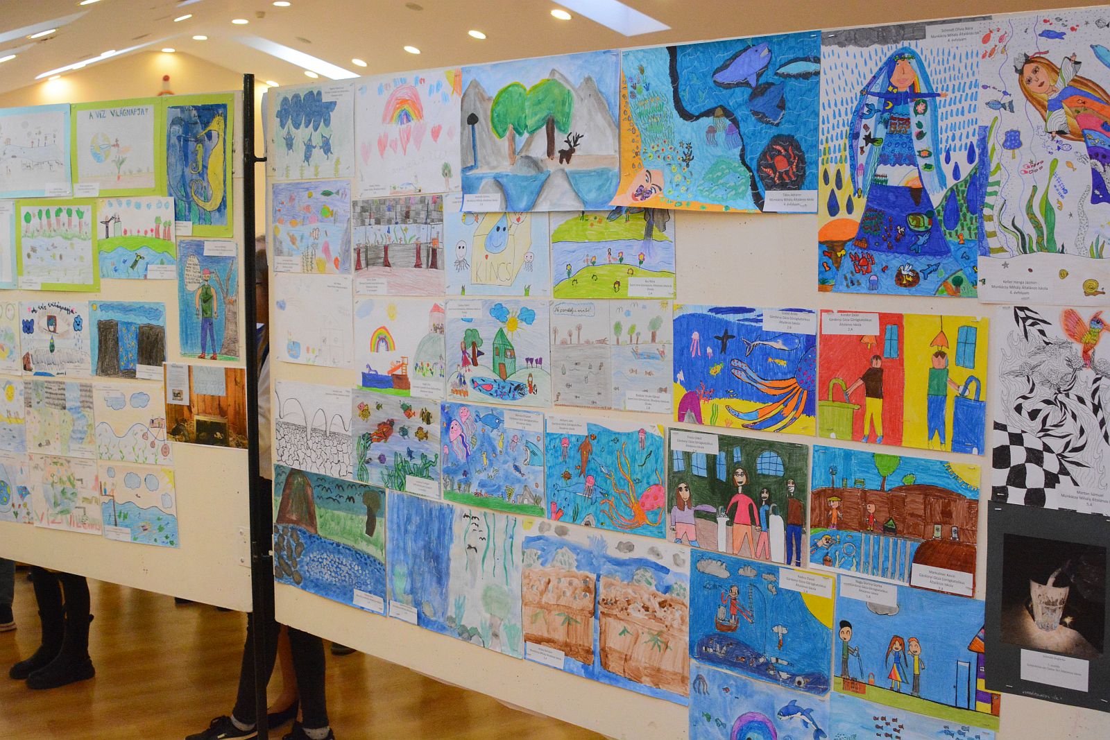 Március 10-ig jelentkezhetnek még az iskolások a Víz világnapi pályázatra